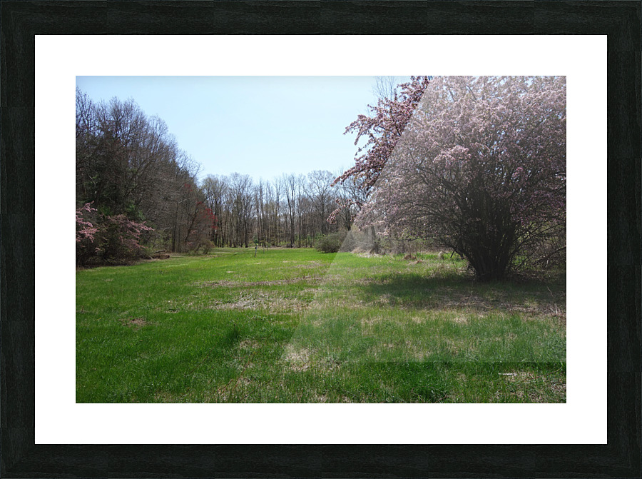 Tree Picture 3 Picture Frame print