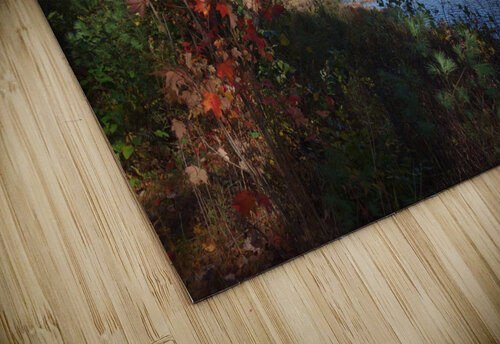 Lake Picture 3 Bill Heaton Photography puzzle