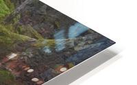 Tree Roots Artwork HD Metal print