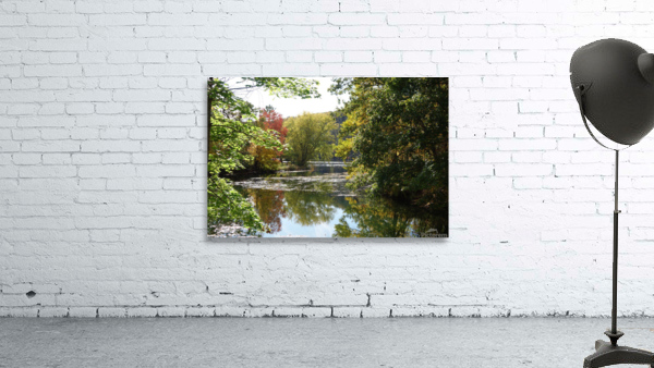 Lake Picture 2 Wall Preview