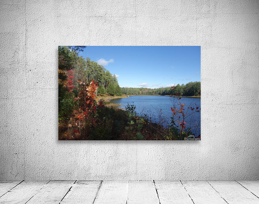 Lake Picture 3 Wall Preview