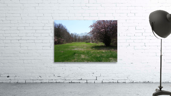 Tree Picture 3 Wall Preview