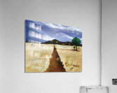 Somewhere in Namibia Acrylic Print