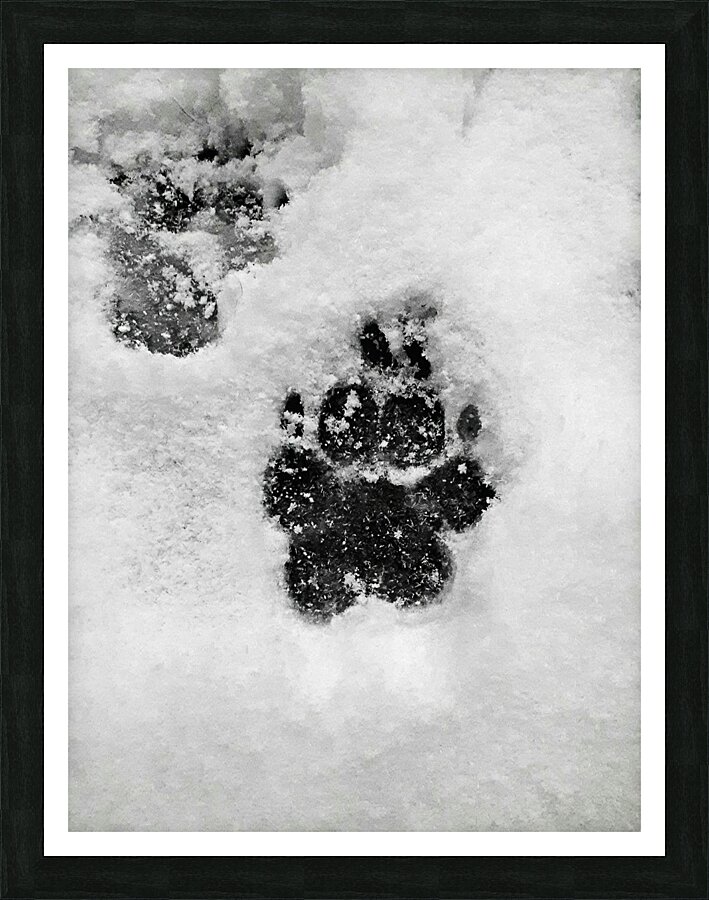 Pupset Picture Frame print