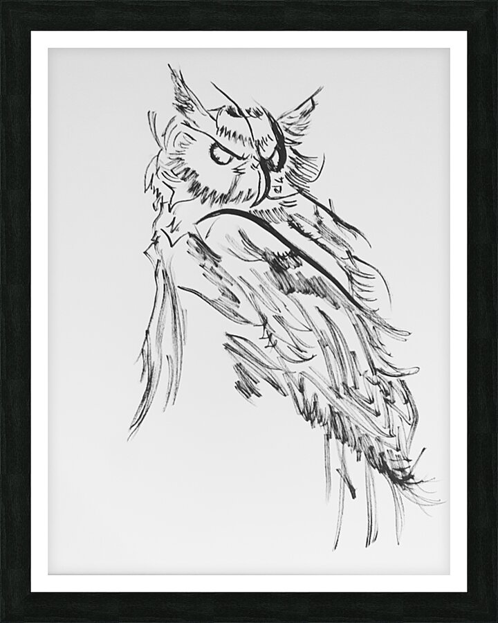 Owl Picture Frame print