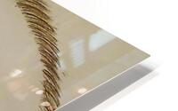 Good Eye HD Metal print