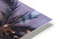 Psalm Trees HD Metal print