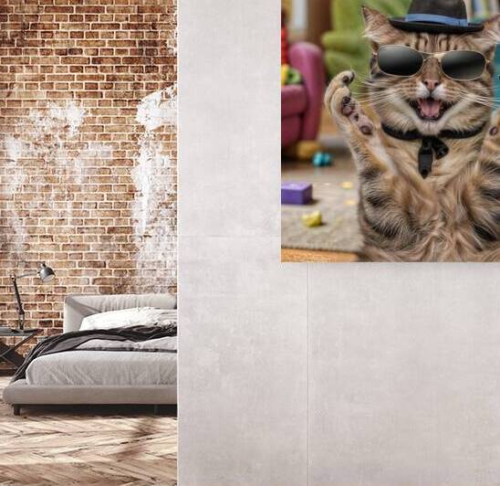 a hilarious and adorable cat with an expressive f A hilarious and adorable by khalidachrab