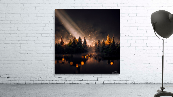 River Pine Trees At Night Wall Preview