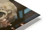 Eye to Eye HD Metal print