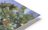 Chatham Park HD Metal print