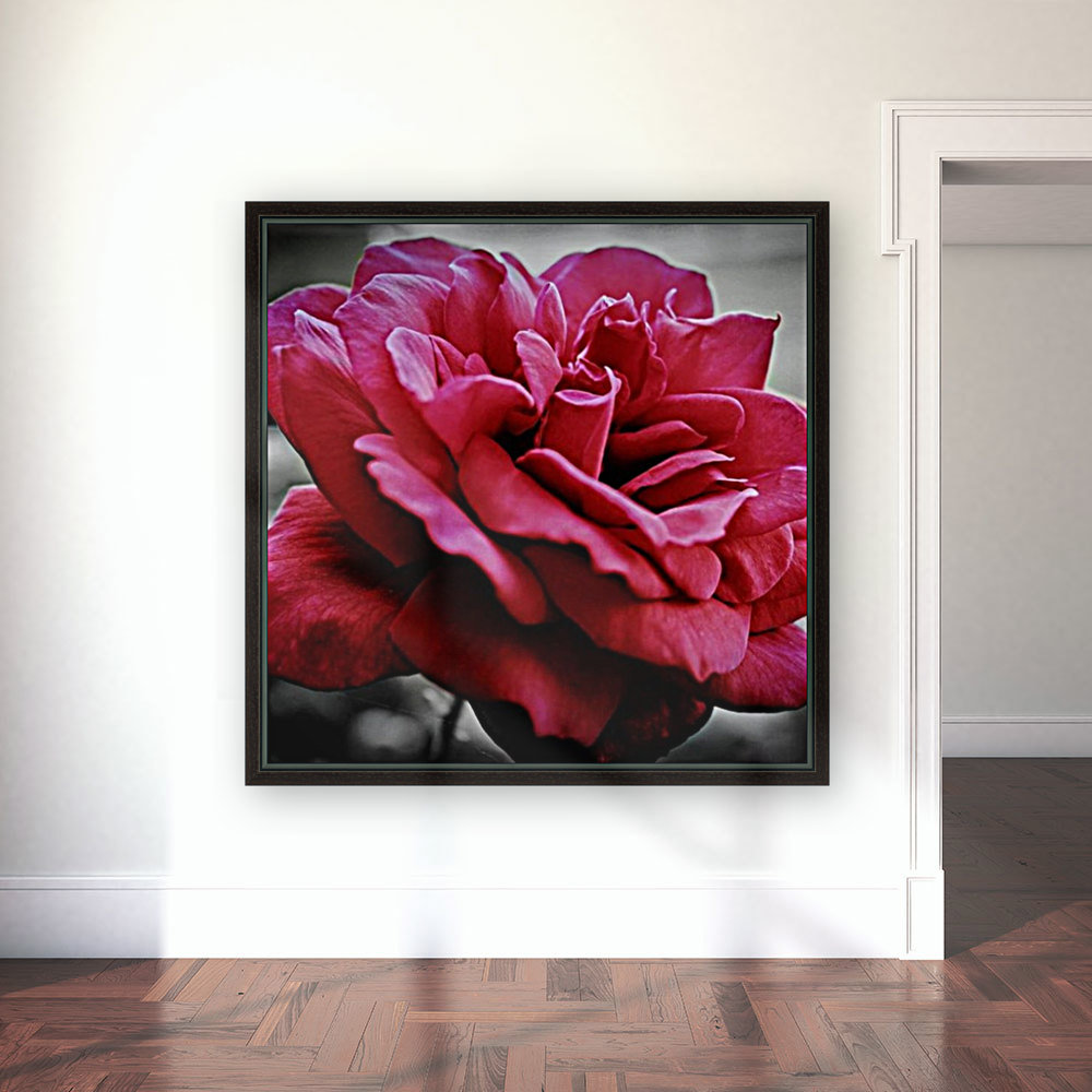 Garden Rose Reproduction