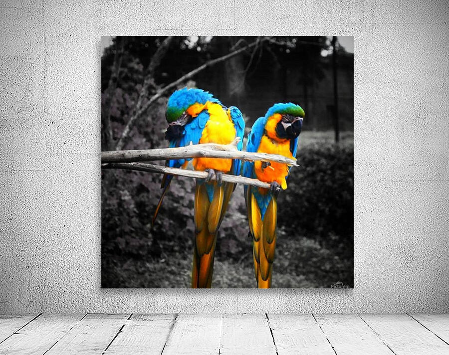 LoveBirds Wall Preview