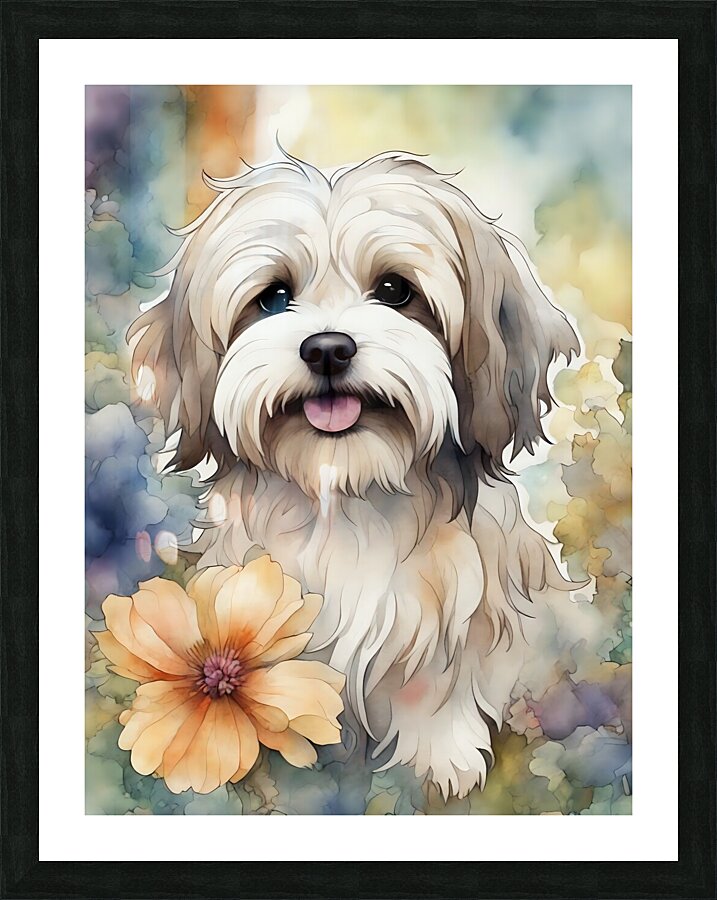 Cute Havanese Dog 4 Picture Frame print