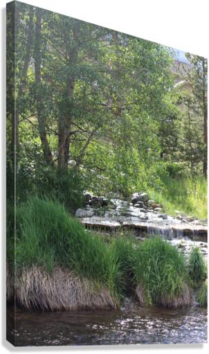SmallCreek Canvas Print