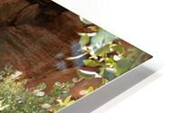 HiddenInSlideRock HD Metal print
