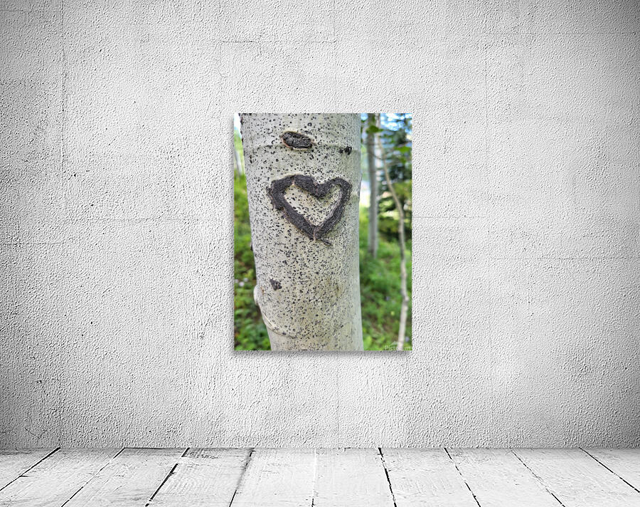 LoveFoundinVailCO Wall Preview
