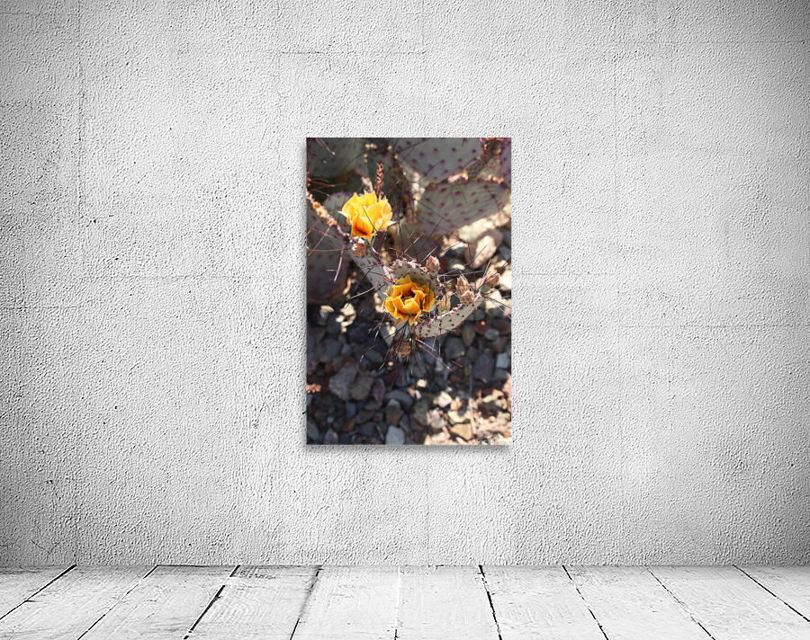 YellowCactusFlower Wall Preview