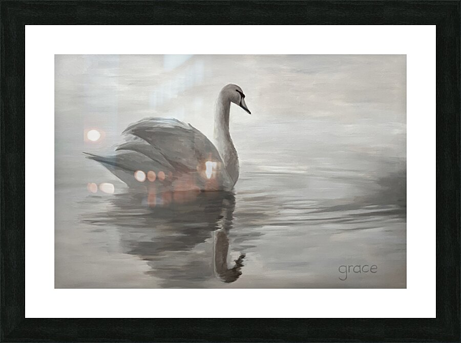 SwanInTheMist Picture Frame print