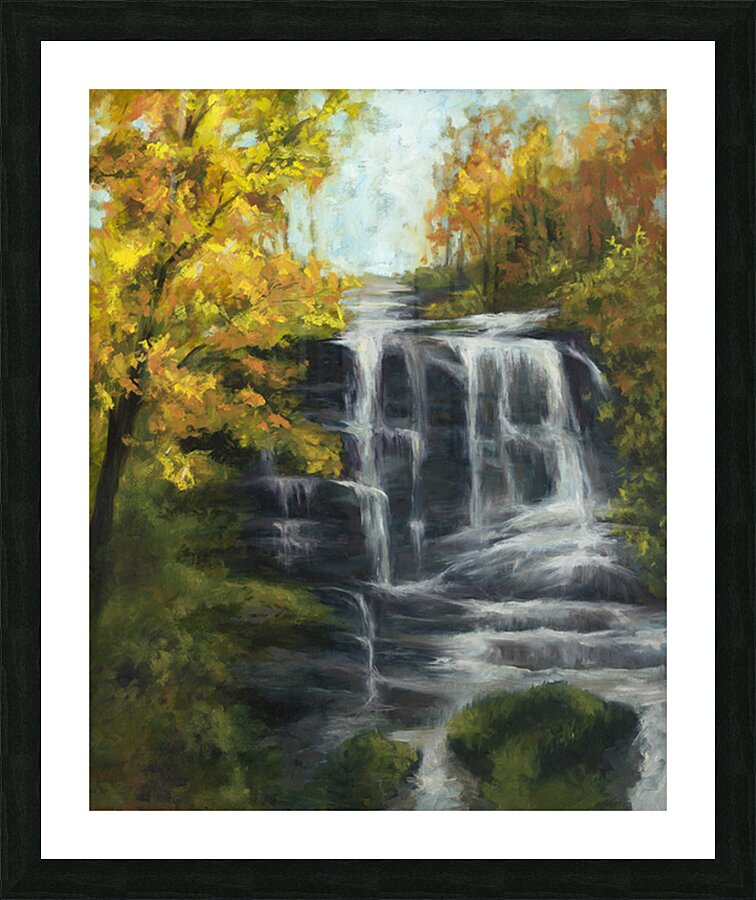 AmicalolaFalls Picture Frame print