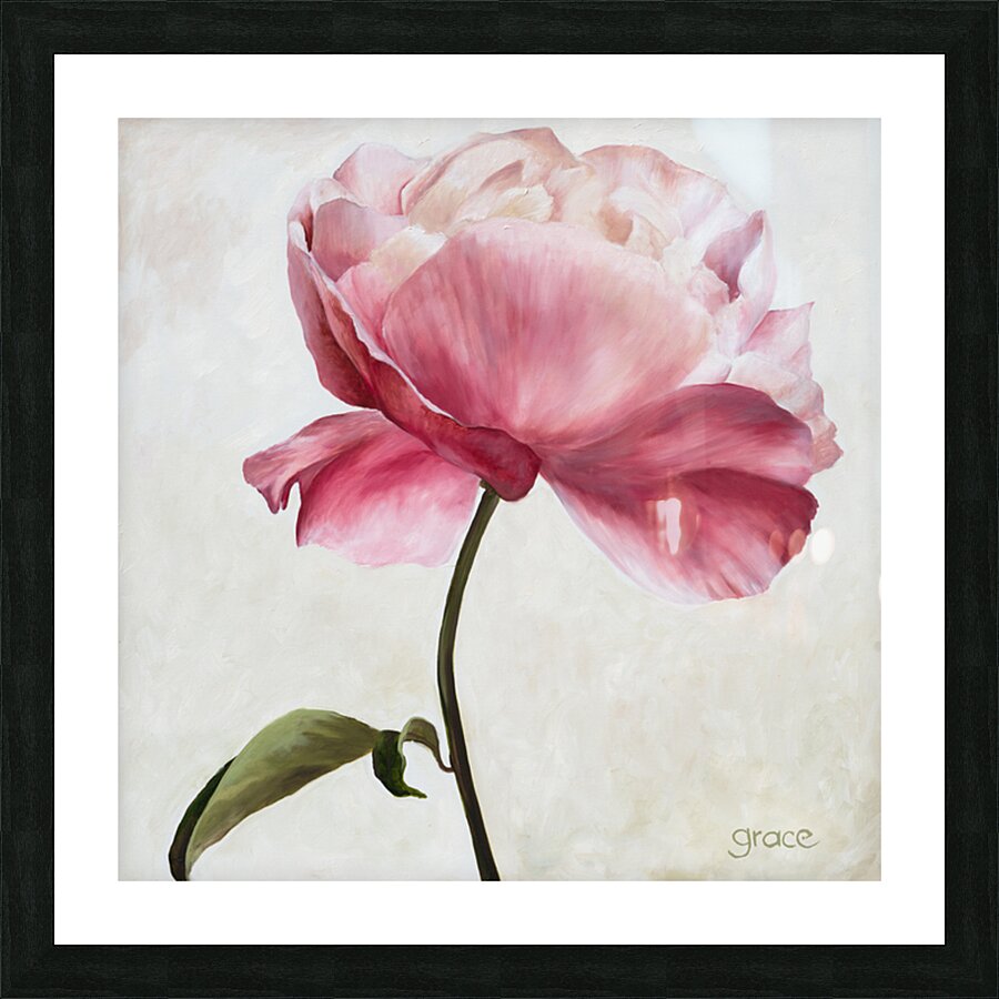 Peony 30x30 Picture Frame print