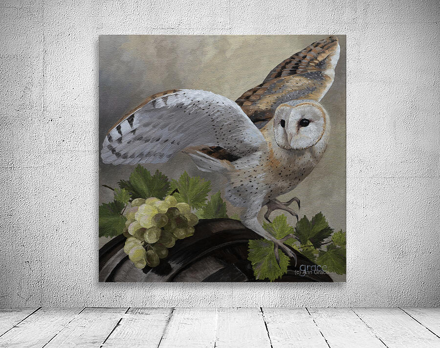 BarnOwl Wall Preview