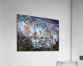 surfaceice Acrylic Print