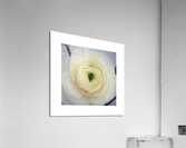 irememberyou Acrylic Print