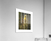mullein Acrylic Print