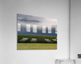 dreamsoffields Acrylic Print