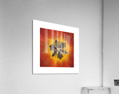 TULIP Acrylic Print