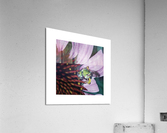ADEEPRELATIONSHIP Acrylic Print