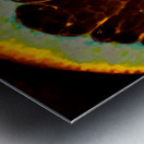 orangecrush Metal print