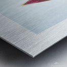 aportal Metal print