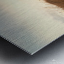 textureofwind Metal print