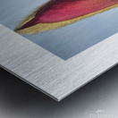 magnolia Metal print