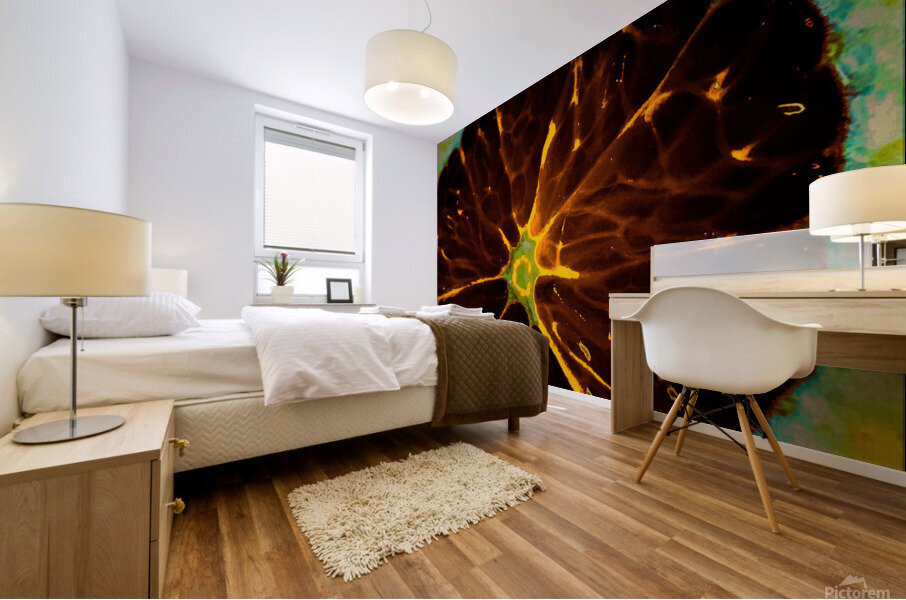 orangecrush Mural print