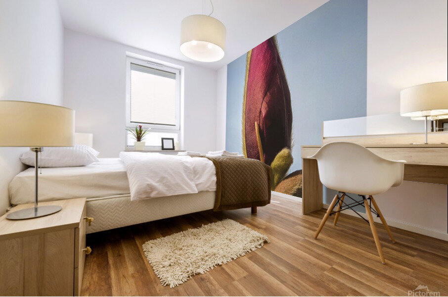magnolia Mural print