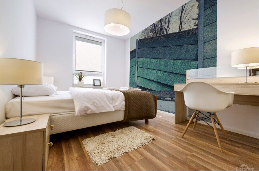 fallingwalls Mural print