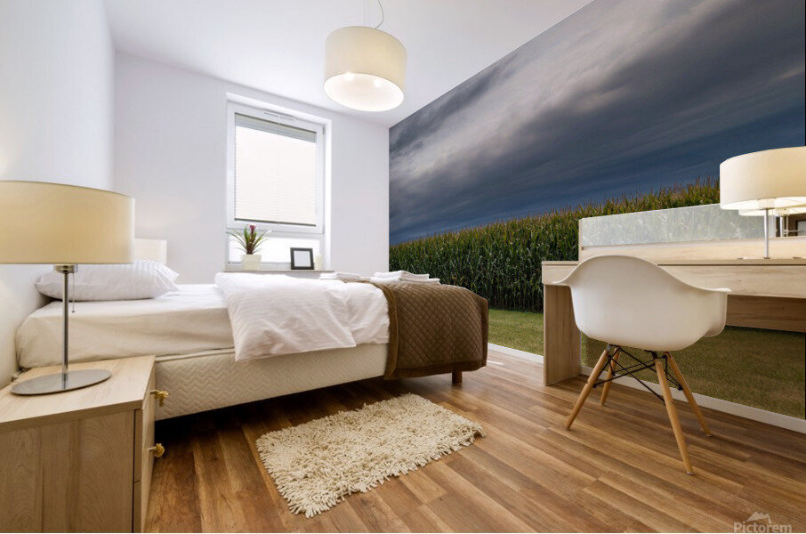 dreamsoffields Mural print