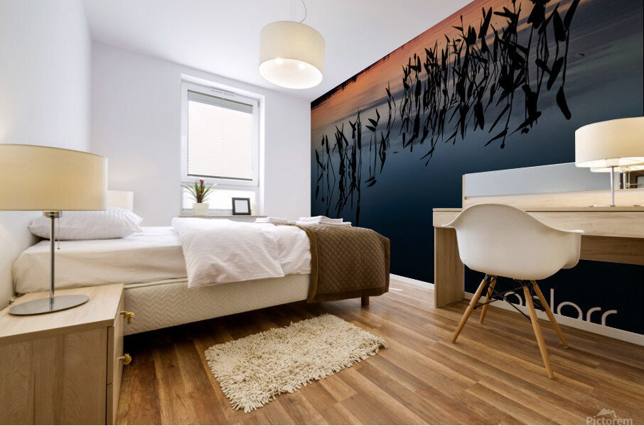WATEROFFADUCKSBACK Mural print