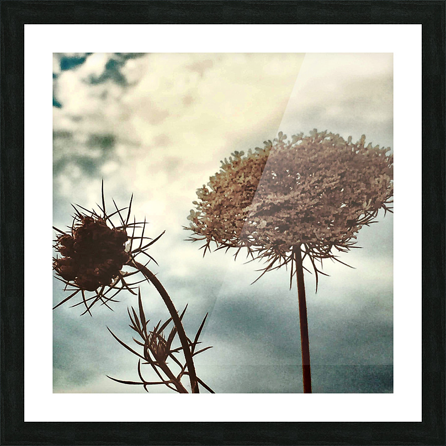 conversationsatdusk Picture Frame print