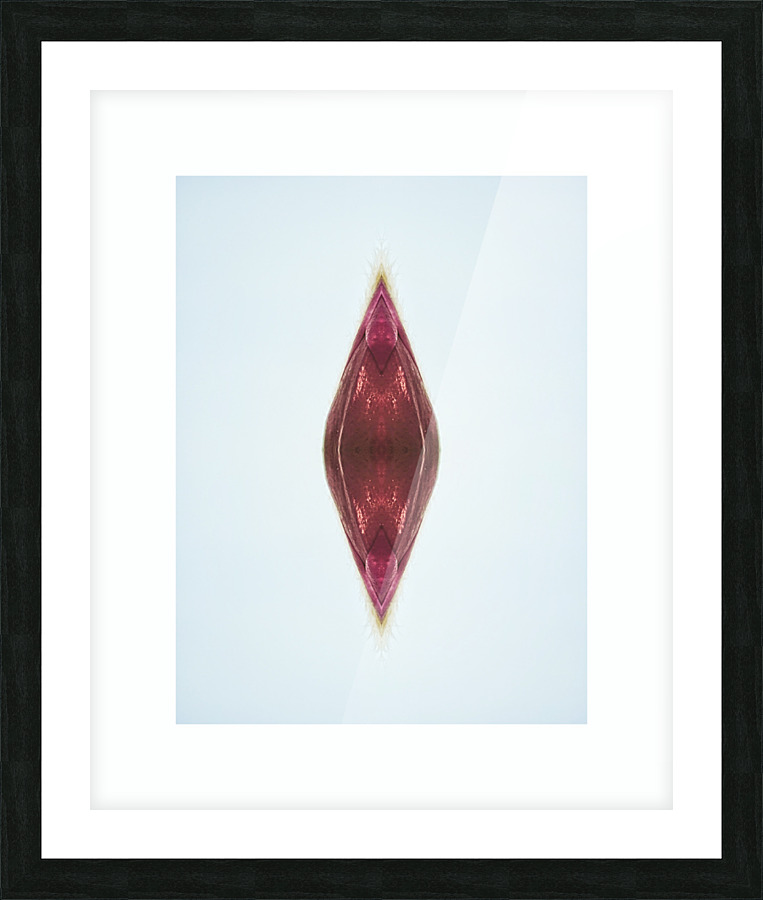 aportal Picture Frame print
