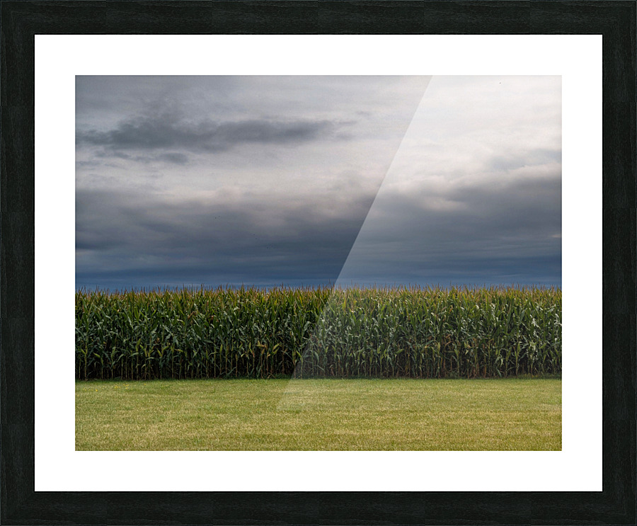 dreamsoffields Picture Frame print