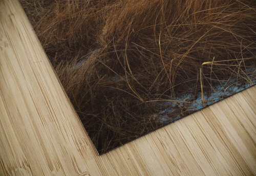 textureofwind Trippingontrauma puzzle