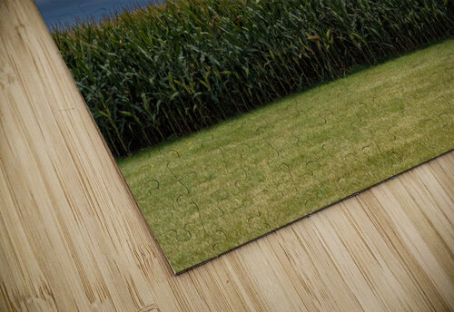 dreamsoffields Trippingontrauma puzzle