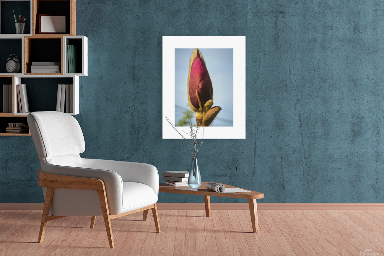 magnolia Reproduction