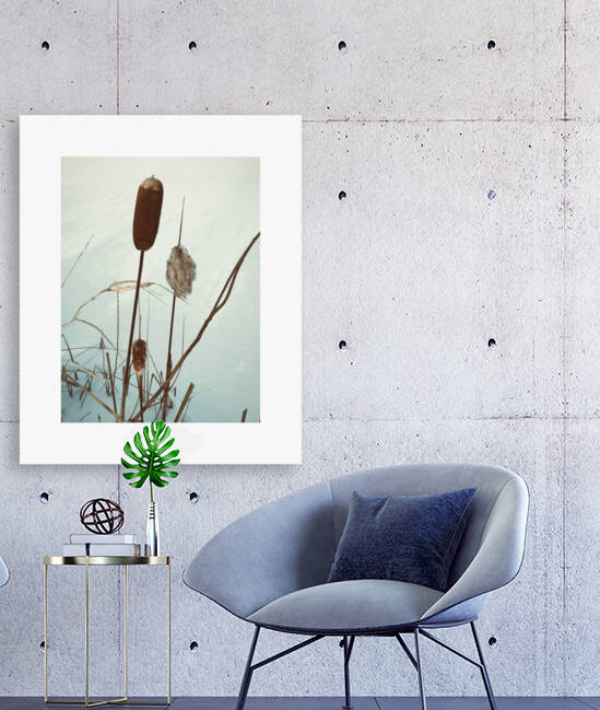 wintercattails by Trippingontrauma