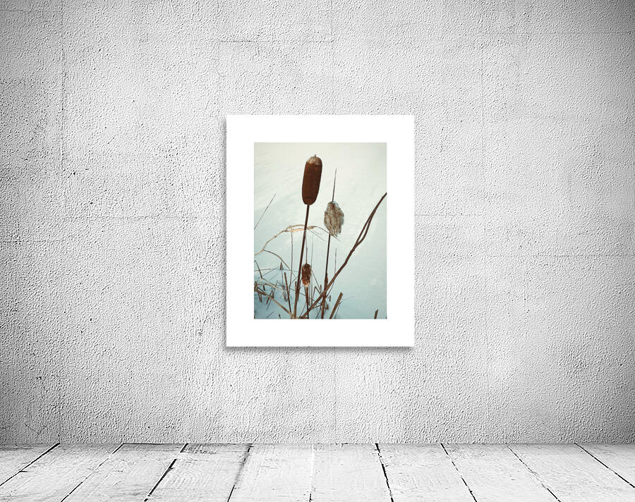 wintercattails Wall Preview