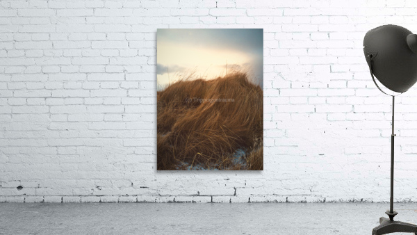 textureofwind Wall Preview